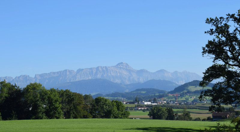 Mitten im Grünen mit Blick auf den Säntis